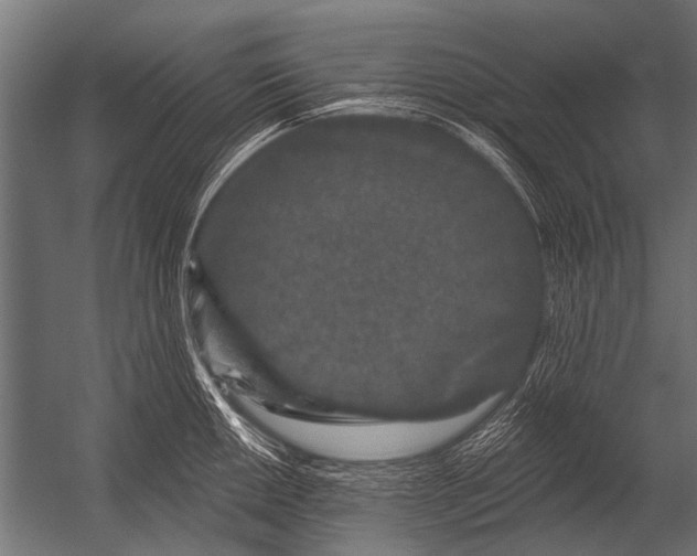 X0000052961050200507300106