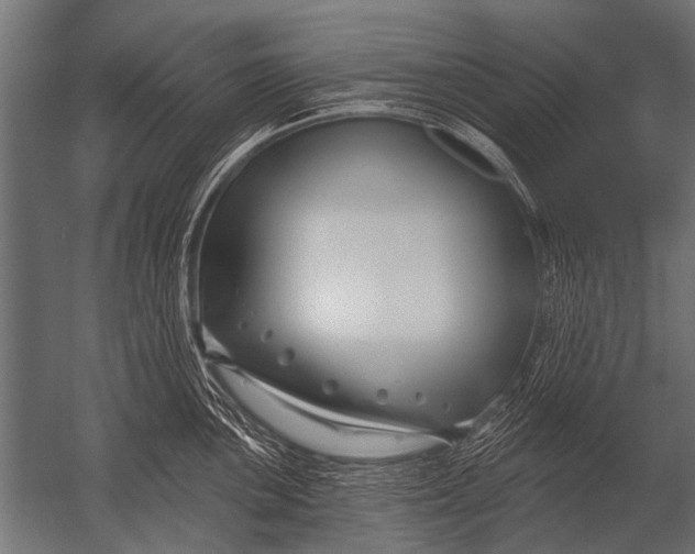 X0000052961051200507300106