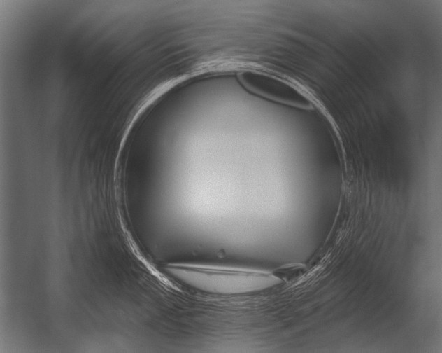 X0000052961053200507300106