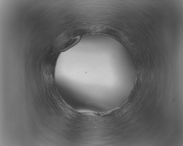 X0000052961058200507300105