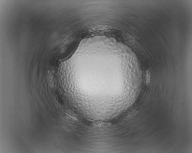 X0000052961059200507300105