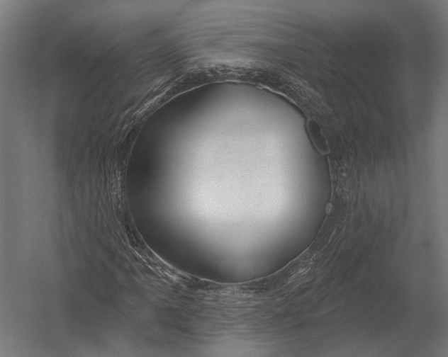 X0000052961061200507300105