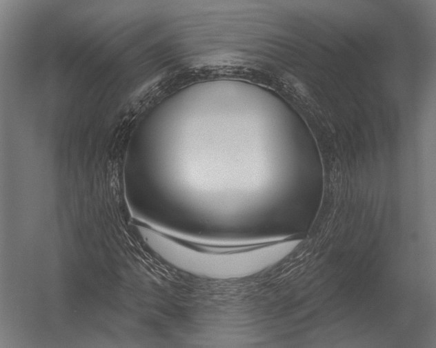 X0000052961062200507300105
