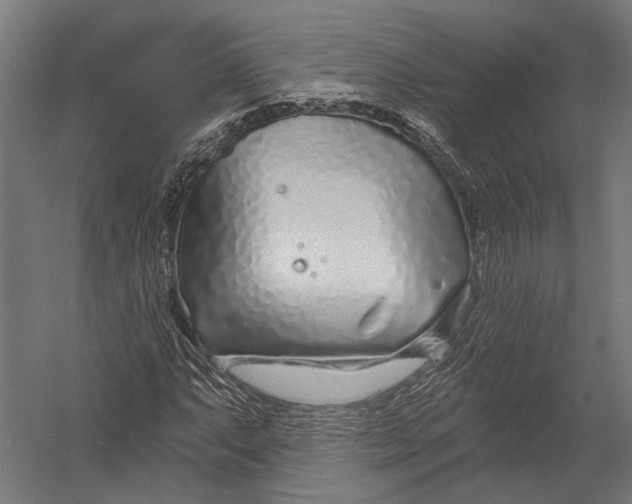 X0000052961063200507300105
