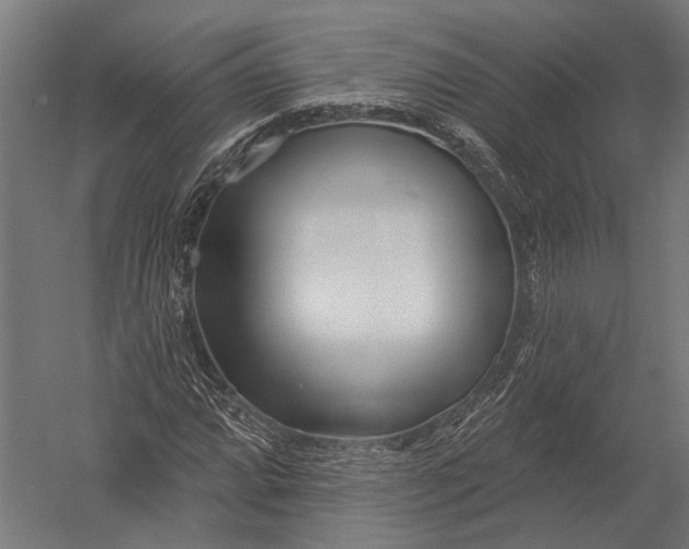 X0000052961064200507300105