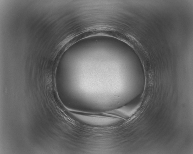 X0000052961065200507300105