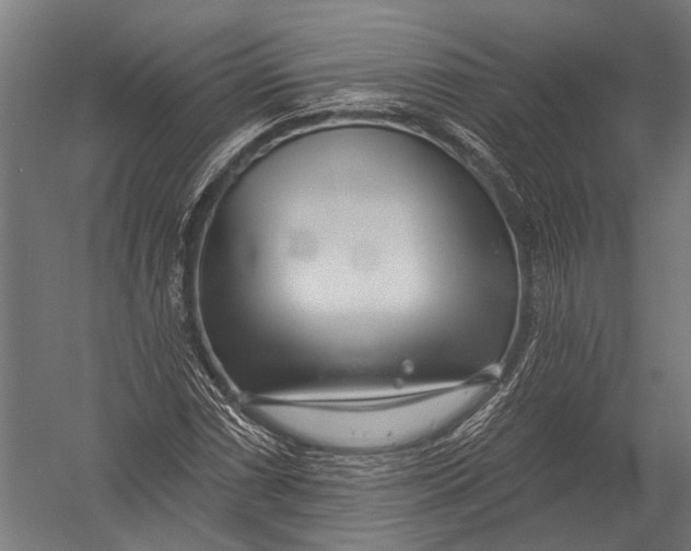 X0000052961066200507300105