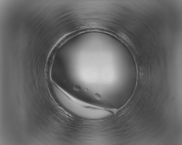 X0000052961068200507300105
