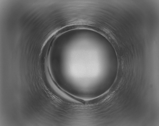 X0000052961069200507300105