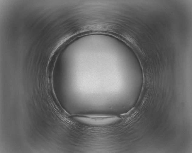 X0000052961070200507300105