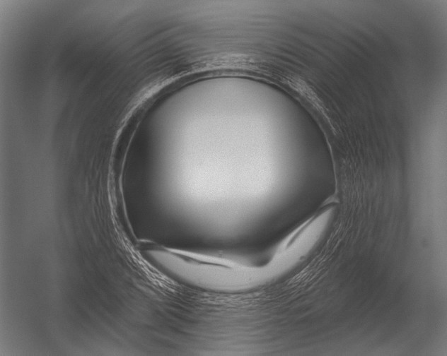X0000052961072200507300105
