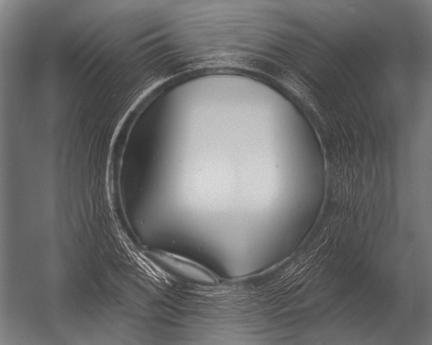X0000052961076200507300105