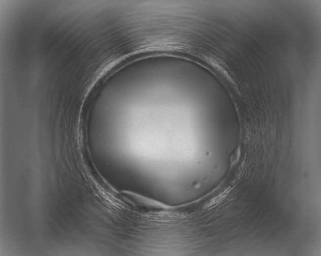 X0000052961077200507300105