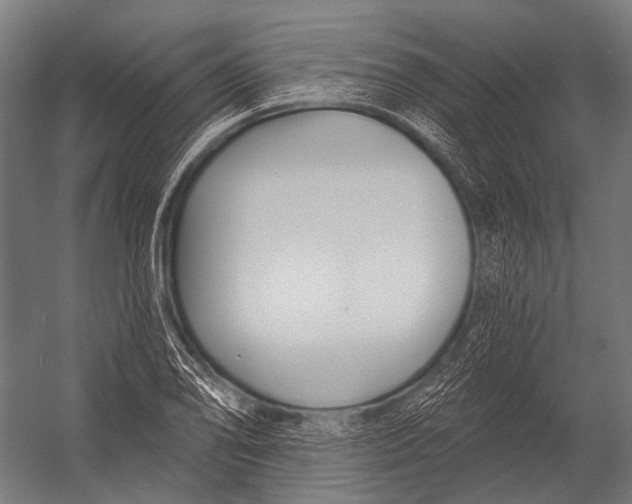 X0000052961078200507300105
