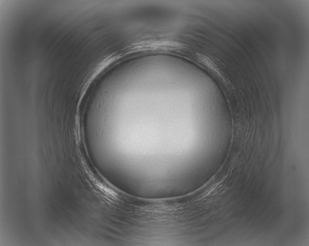 X0000052961079200507300105