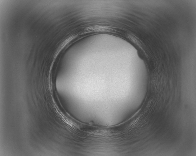X0000052961082200507300105