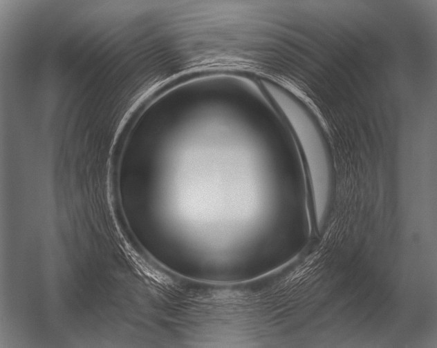 X0000052961085200507300105