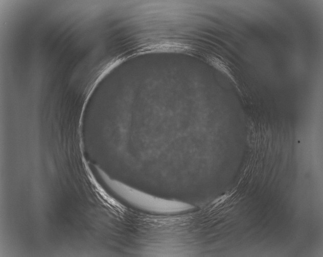 X0000052961087200507300105
