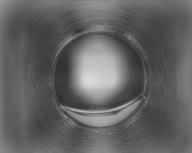 X0000052961089200507300105