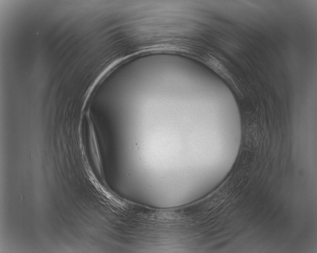 X0000052961092200507300105