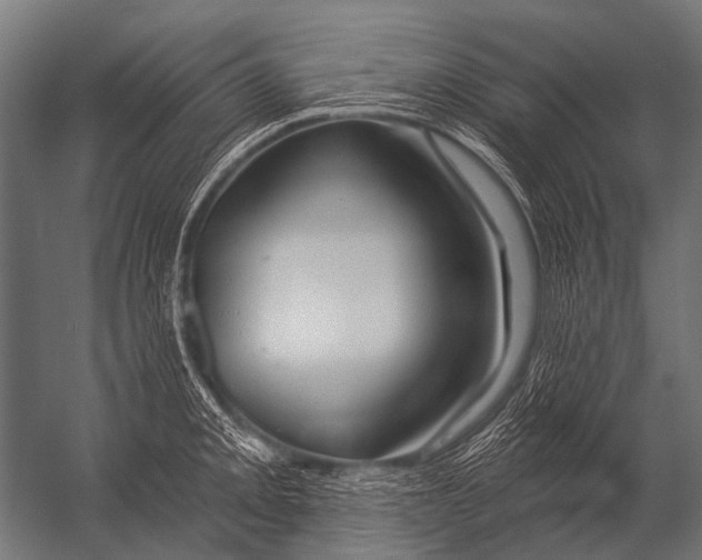 X0000052961093200507300105