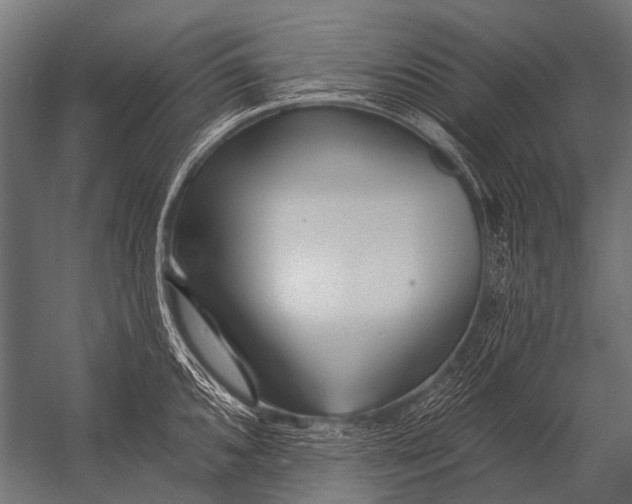 X0000052961096200507300105