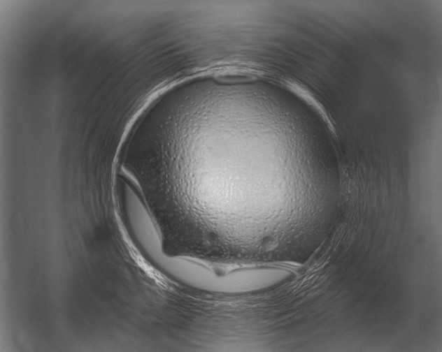X0000052961099200507300105