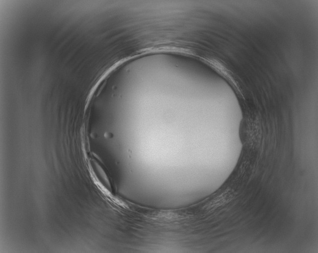 X0000052961100200507300105