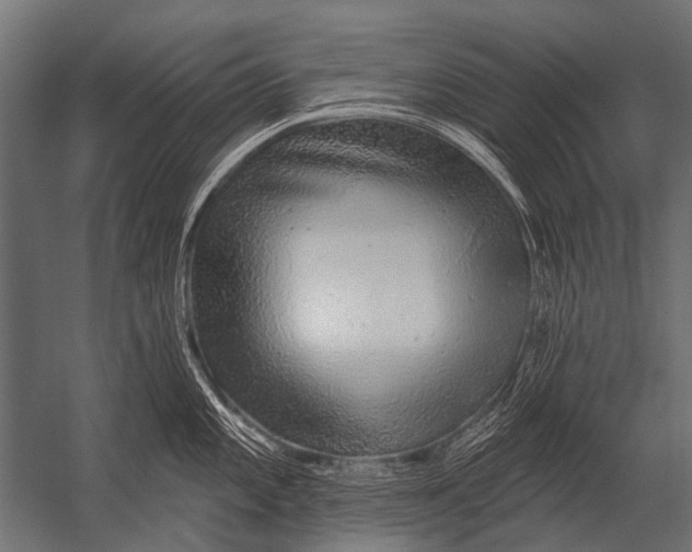 X0000052961101200507300105