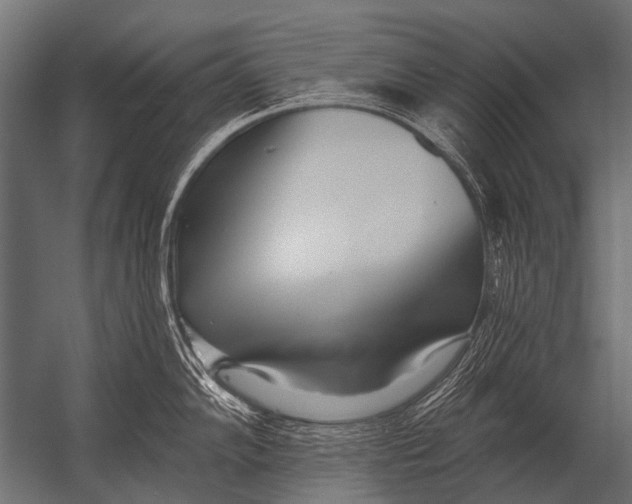 X0000052961102200507300105