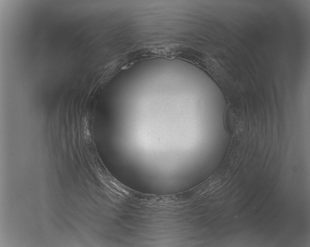 X0000052961106200507300104