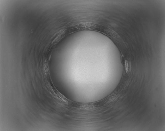 X0000052961107200507300104