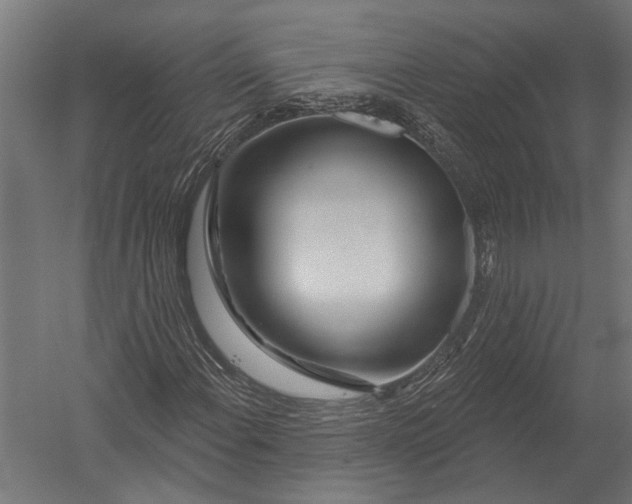 X0000052961108200507300104