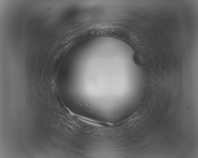 X0000052961109200507300104