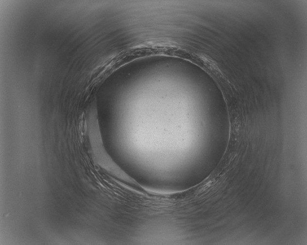 X0000052961110200507300104