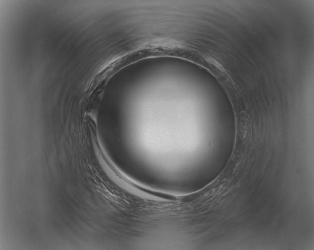 X0000052961112200507300104