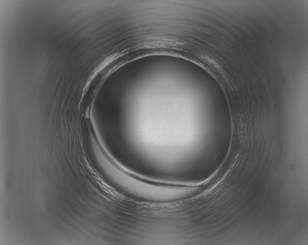 X0000052961114200507300104