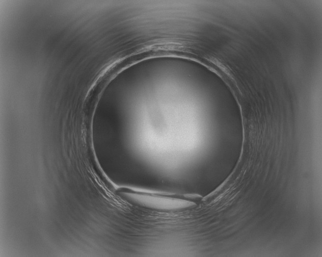 X0000052961115200507300104