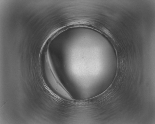X0000052961116200507300104