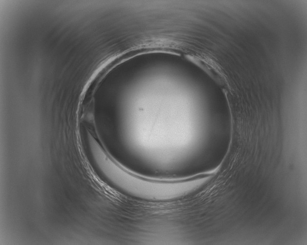 X0000052961120200507300104