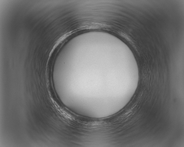 X0000052961122200507300104