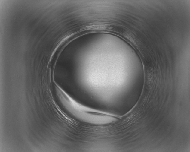 X0000052961123200507300104