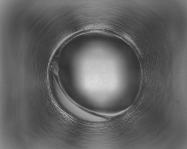 X0000052961124200507300104