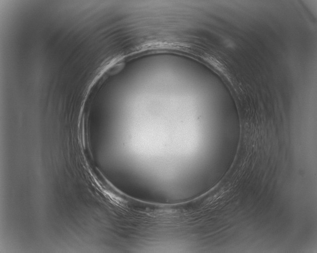 X0000052961127200507300104