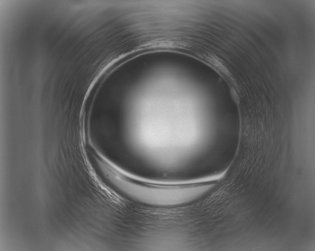 X0000052961132200507300104