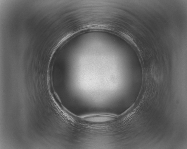 X0000052961133200507300104