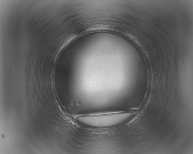 X0000052961137200507300104