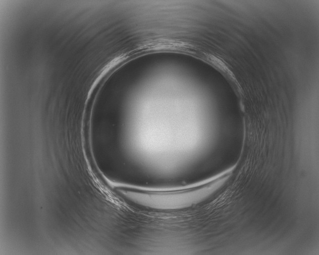X0000052961138200507300104
