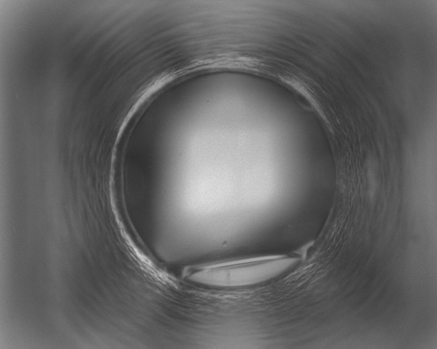 X0000052961139200507300104