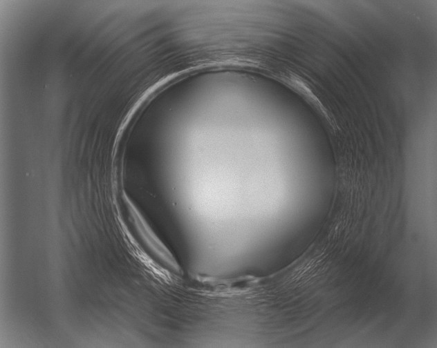 X0000052961140200507300104